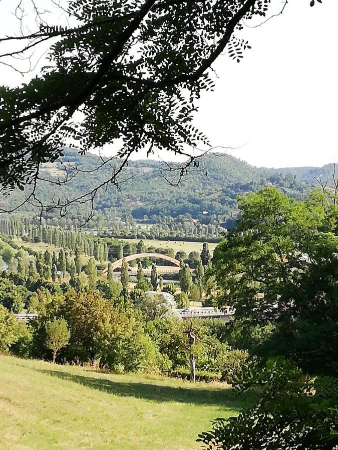 Il Lago Del Mugello B&B Barberino di Mugello Eksteriør bilde