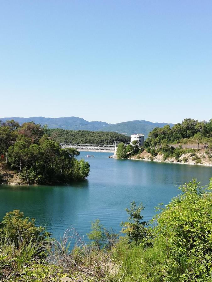 Il Lago Del Mugello B&B Barberino di Mugello Eksteriør bilde